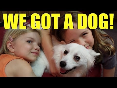 We got a dog!​​​ Jillian & Addie of Babyteeth4​​​