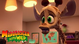 Search for the Missing Tooth | MADAGASCAR A LITTLE WILD