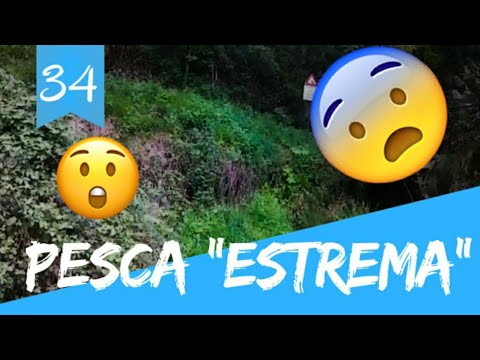 Pesca in laghetti a pagamento - PescaOk.it