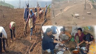 Sowing Rice Seeds Jhum Field Cultivation At Longmisa Village ||Mokokchung Nagaland ||India ||