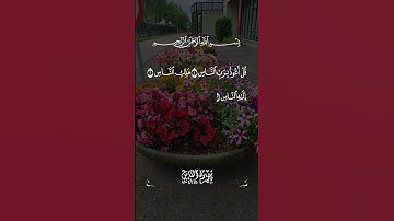 سورة الناس صوت جميل للقارئ الشيخ عبد الباسط #اكسبلور