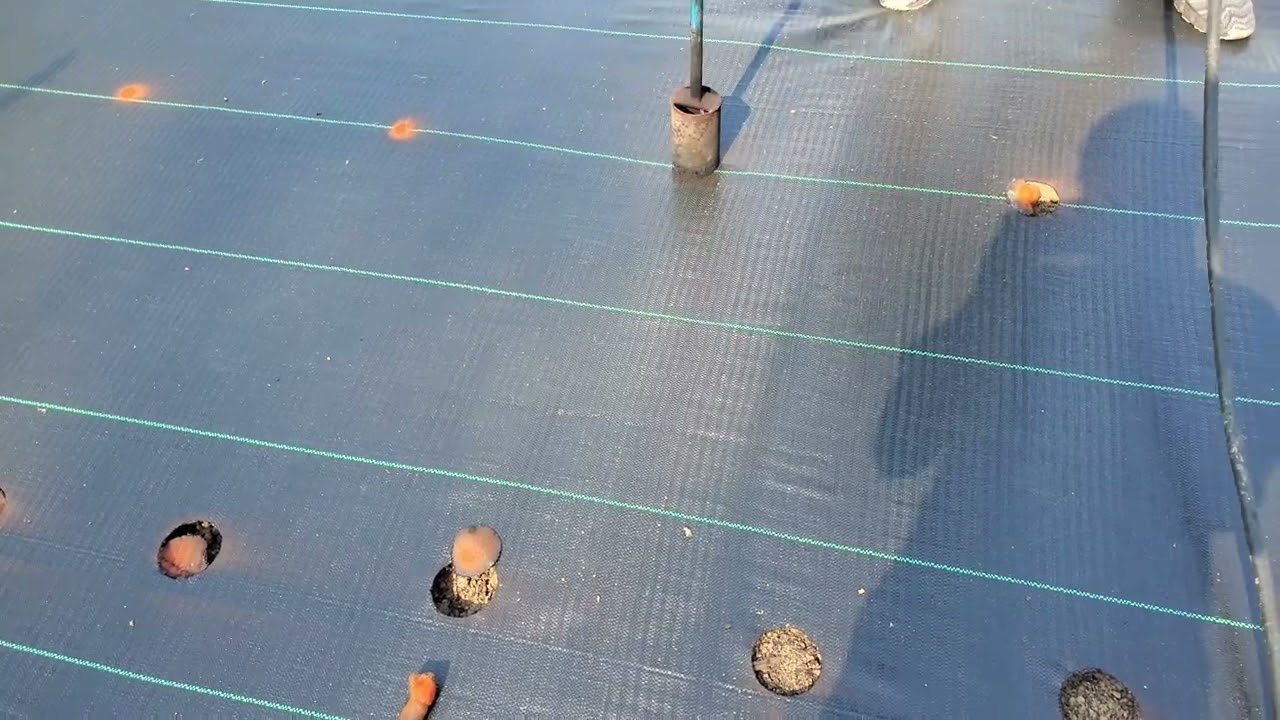 Burning holes in landscape fabric