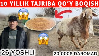 10 Yillik Tajriba 20.000 Daromad 26 Yoshli Yigitdan Qoy Boqish Sirlari 2026
