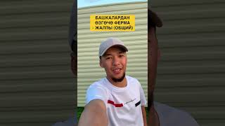 картинка: Жаңы Фермага келдим 📍Англия