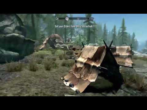 "This Horse Was Rejected By The Skyrim Space Program....."