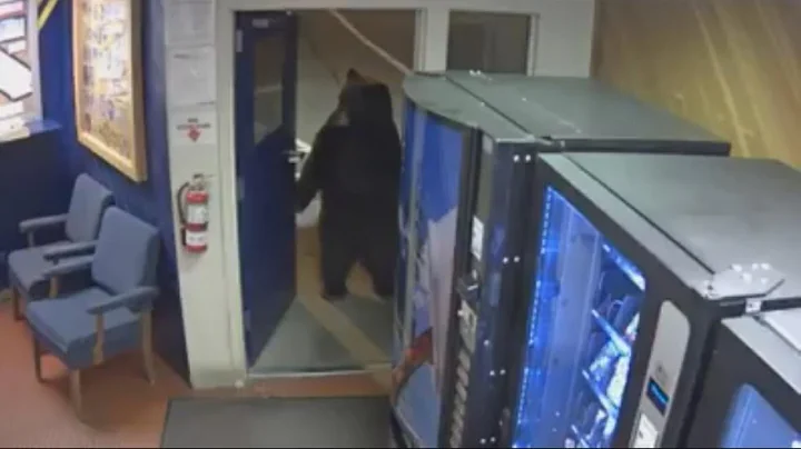 Bear breaks into Truckee CHP facility