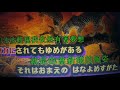 【花街の母】 金田たつえ ★唄ってみました🎶 ai haraishi