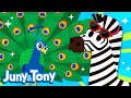 Animal Fashion Show | Animal Song for Kids | Zebra, Cheetah, Leopard | Juny&Tony by KizCastle