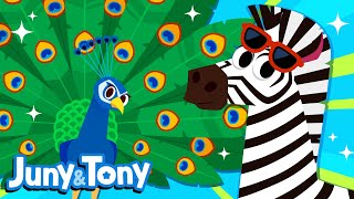 Animal Fashion Show | Animal Patterns | Animal Songs for Kids | JunyTony screenshot 2