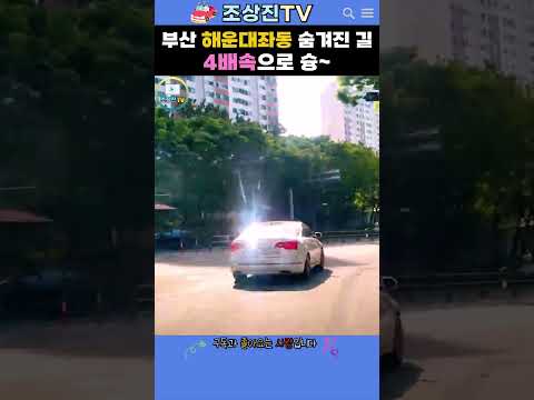 부산 해운대좌동 숨겨진 길 4배속으로 슝💨 #부산 #해운대좌동 #드라이브