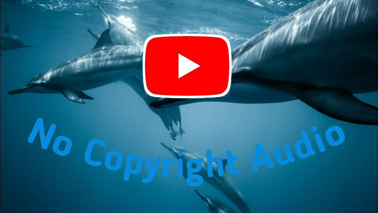 Watch Space Loop - Another Kid II music for ajarul audio #short #shorts #music on YouTube Watch Space Loop - Another Kid II music for ajarul audio #short #shorts #music on YouTube