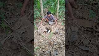 Celebrity there's a lot of content inside #funnyanimals #cuteanimals #nature #awesomethings #funnyvideos Wealth