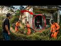 72 Hours NO ESCAPE 😱 Everyone Mocked Him for Buying a $5,000 Abandoned House… Then THIS Happened!