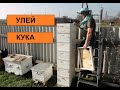 Улей Кука. Сравнение с десятирамочным рутом.