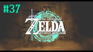 The Legend of Zelda : Tears of the Kingdom #37