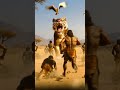 Man vs Beast 🐅🔥 Prehistoric Humans Attack Saber-Tooth Tiger | 1 M Years Ago #Shorts #viral