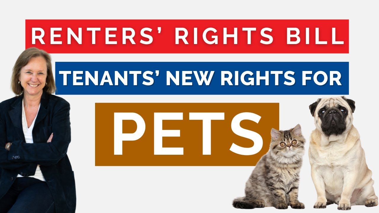 Pets: Landlord guide to renters' rights to keep pets