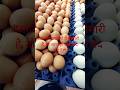 Who Should Not Eat Eggs? | Side Effects of Eggs You Must Know