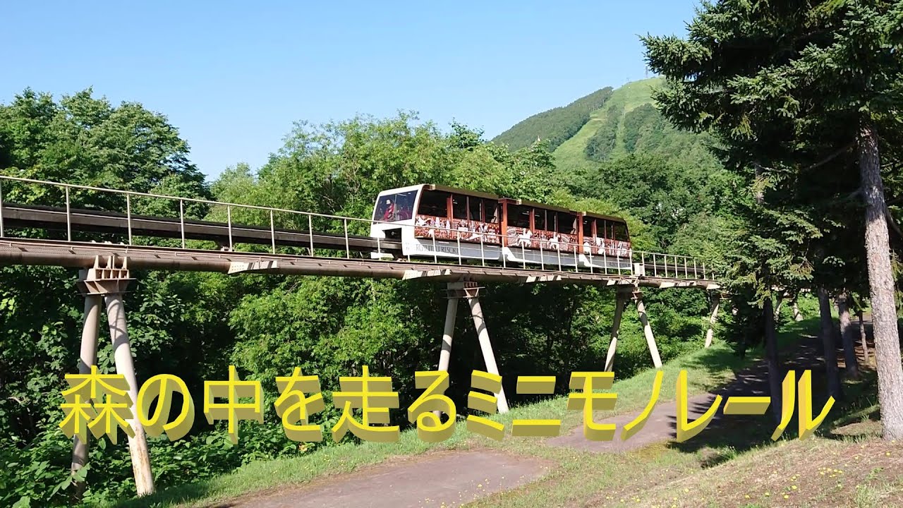 森の中を走る小さく短い本格的モノレール