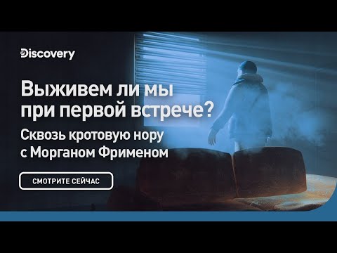 Выживем ли мы при первой встрече? | Сквозь кротовую нору с Морганом Фрименом | Discovery