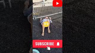 I'm getting dizzy just watching this!!😂😂 #fail #fall #funny #afv#shorts