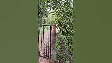 glimpse of DAVV part-3#shorts