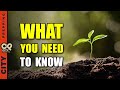 The Ultimate Garden Soil Guide for Successful Growing (pt 2)