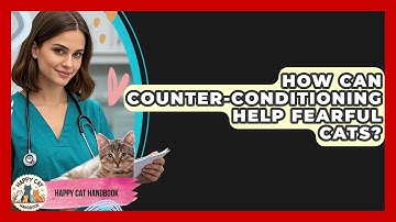 How Can Counter-conditioning Help Fearful Cats? - Happy Cat Handbook