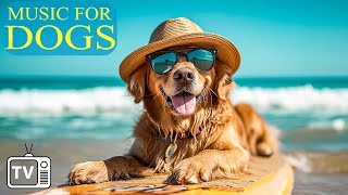 12 HOURS of Dog Calming Music For Dogs, Anti Separation Anxiety Relief  Entertainment TV for Dogs