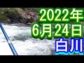 鮎釣り 渇水垢ぐされ 高橋 ふるさと橋 新大口橋 白川 2022年
