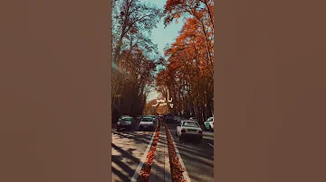 پاییز و همه حس خوبش پاییز پاییزی رادیو تلویزیون جوانان امروز حس خوب اینیستاگرام 