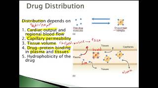 pharmaceuticsI lec30