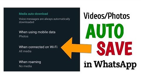 How to Auto Save Videos/Photos/Documents in WhatsApp