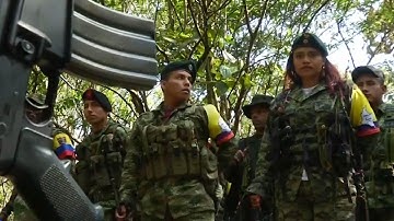 FARC rebels’ disarmament on track, according to UN