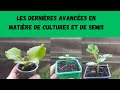 Les dernires avances en matire de cultures et de semis