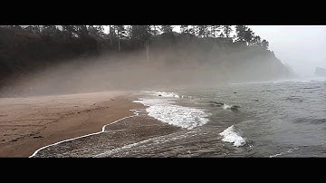 The Whisper Within | Official Trailer