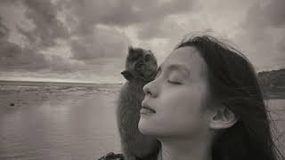 Lyrik Till We Meet Again (Linka feat Alffy Rev)