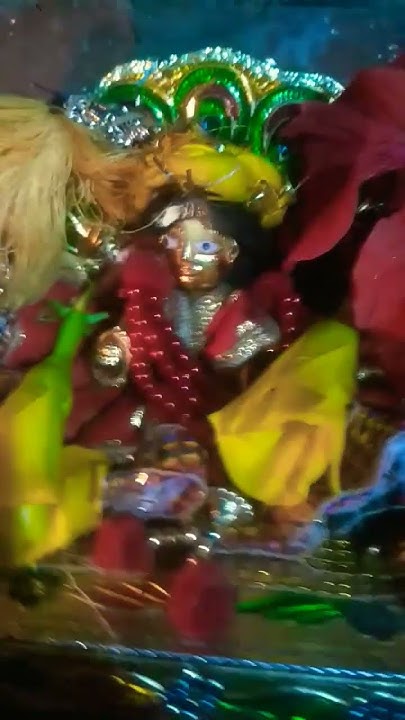holi khala mashalo me