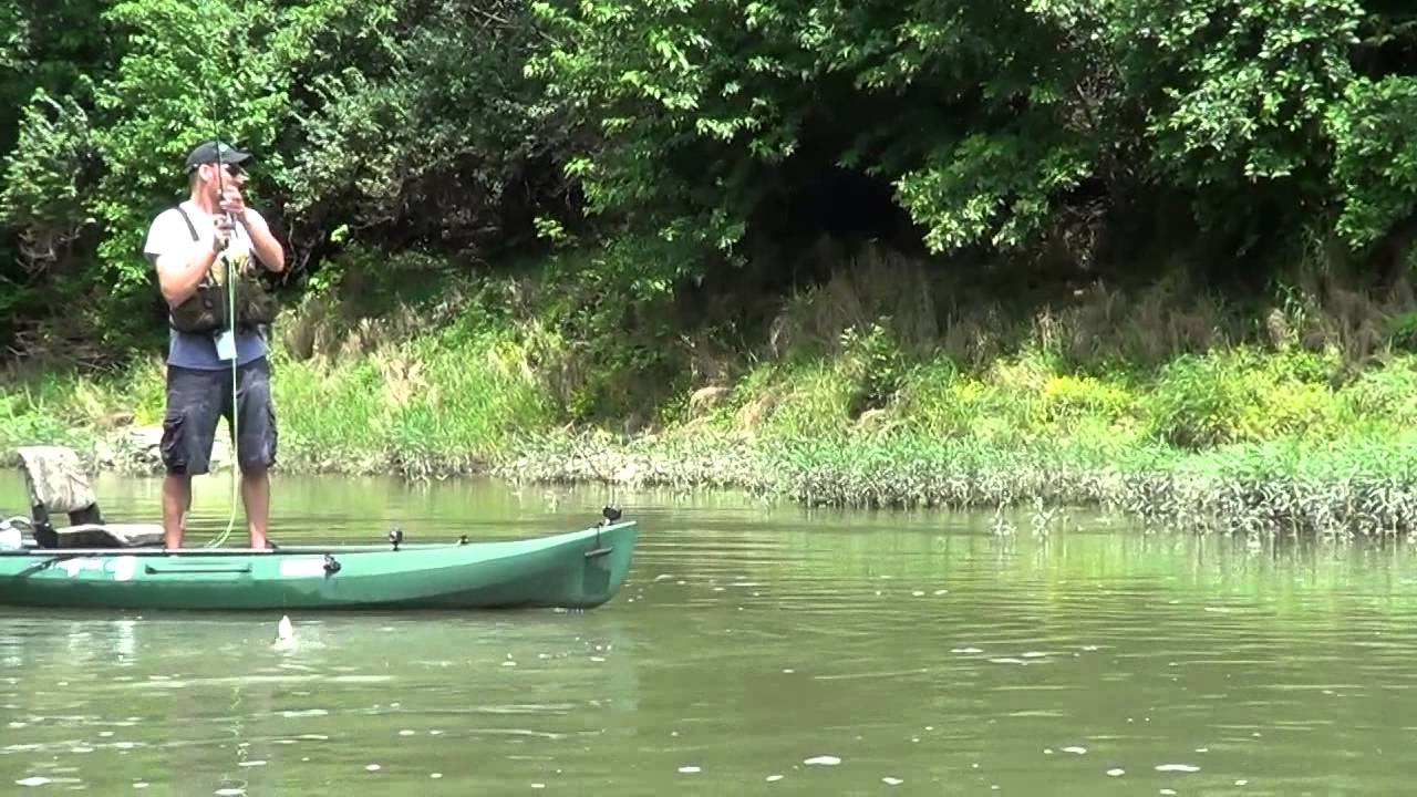 Fly Fishing for Smallmouth Bass with Jonn Graham YouTube