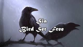 Sia - Bird Set Free - Root's