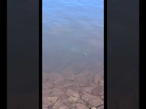 www.youtube.com