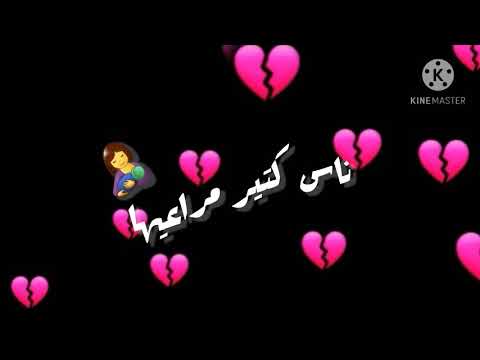 انا قلبي عايز صرمه حالاتواتس اب