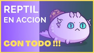 Batallas Con El Equipo De Reptilmechplanta Pocky Axie Infinity