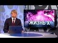 «Итоги» - 10 августа