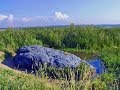 Синь Камень Не пускайте к нему ваших женщин Синь Камень Не пускайте к нему ваших женщин