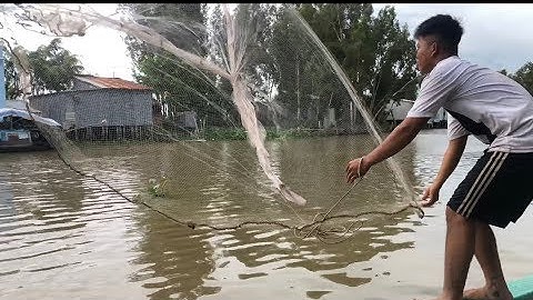 GỐC RẠ TV - Đi Chài Cá Ở Miền Tây Dính Cá Hiếm Hàng Triệu Đồng - Tập 1 | Fishing