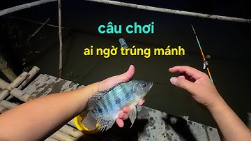 Câu giải trí ai ngờ trúng mánh