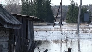 Затопленные дома и лодки вместо автомобилей. К чему привёл круговорот воды в природе?