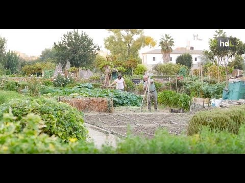 HDL Huerto Miraflores, un pulmón verde referente en todo el mundo galardonado por la ONU