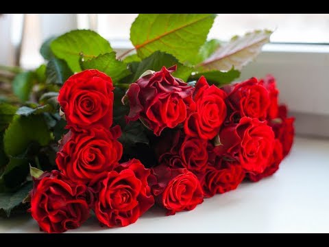 заказать цветы через интернет с доставкой в санкт петербурге